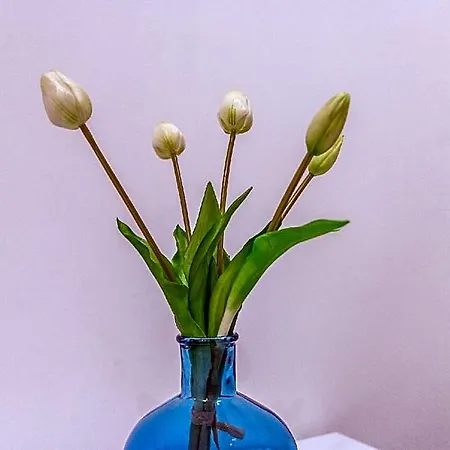 Elegante Vicino Stazione - Gold 3*